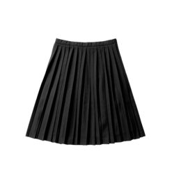 Pleated Skirts